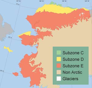 Alaska Arctic Tundra Vegetation Map-Bioclimate subzones (C, D, and E)