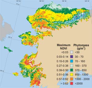 Alaska Arctic Tundra Vegetation Map-NDVI and Phytomass