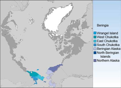Floristic Provinces-Beringian Group