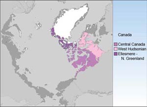 Floristic Provinces-Canadian Group