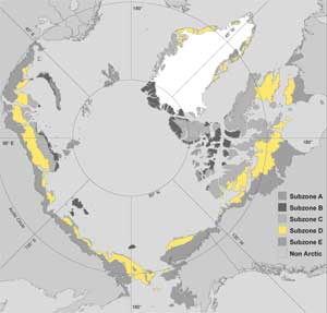 Bioclimate Subzone D map