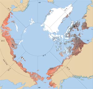 Circumpolar Arctic Vegetation Map-AVHRR image