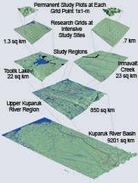 Hierarchy of Digital Terrain Models