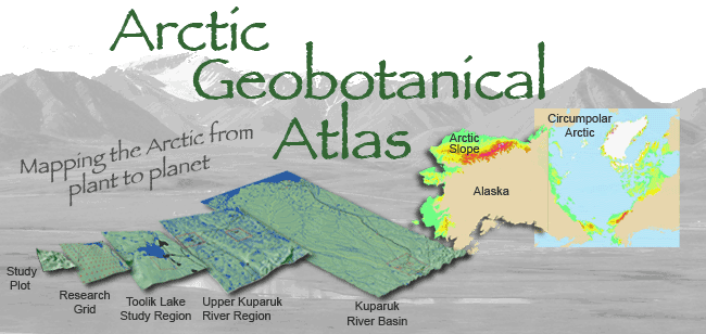 geobotany ... is the intersection between vegetation science, geology, and geography