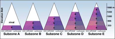 elevation belt in the subzones