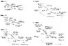 Figure 1. Conceptual toposequences in each of the five bioclimate subzones according to Elvebakk (1999)