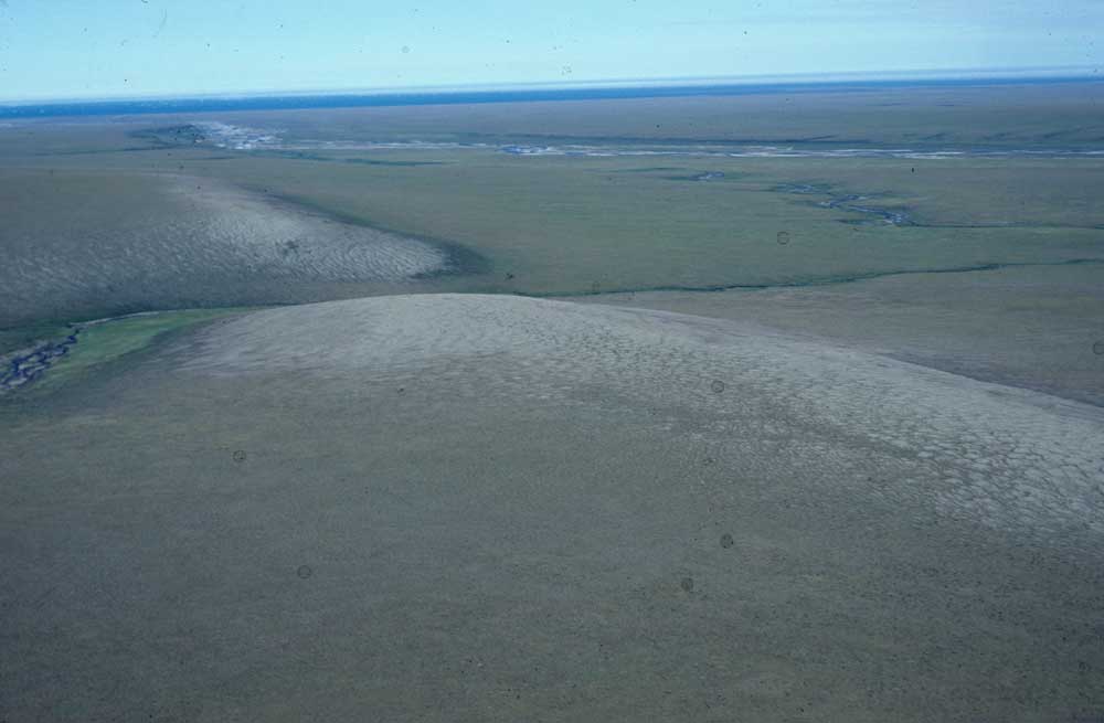 Photo D. Dry tundra on ridge near the Kaktakturuk River, Arctic National Wildlife Refuge. Walker slide 81-20-19. D.A. Walker.