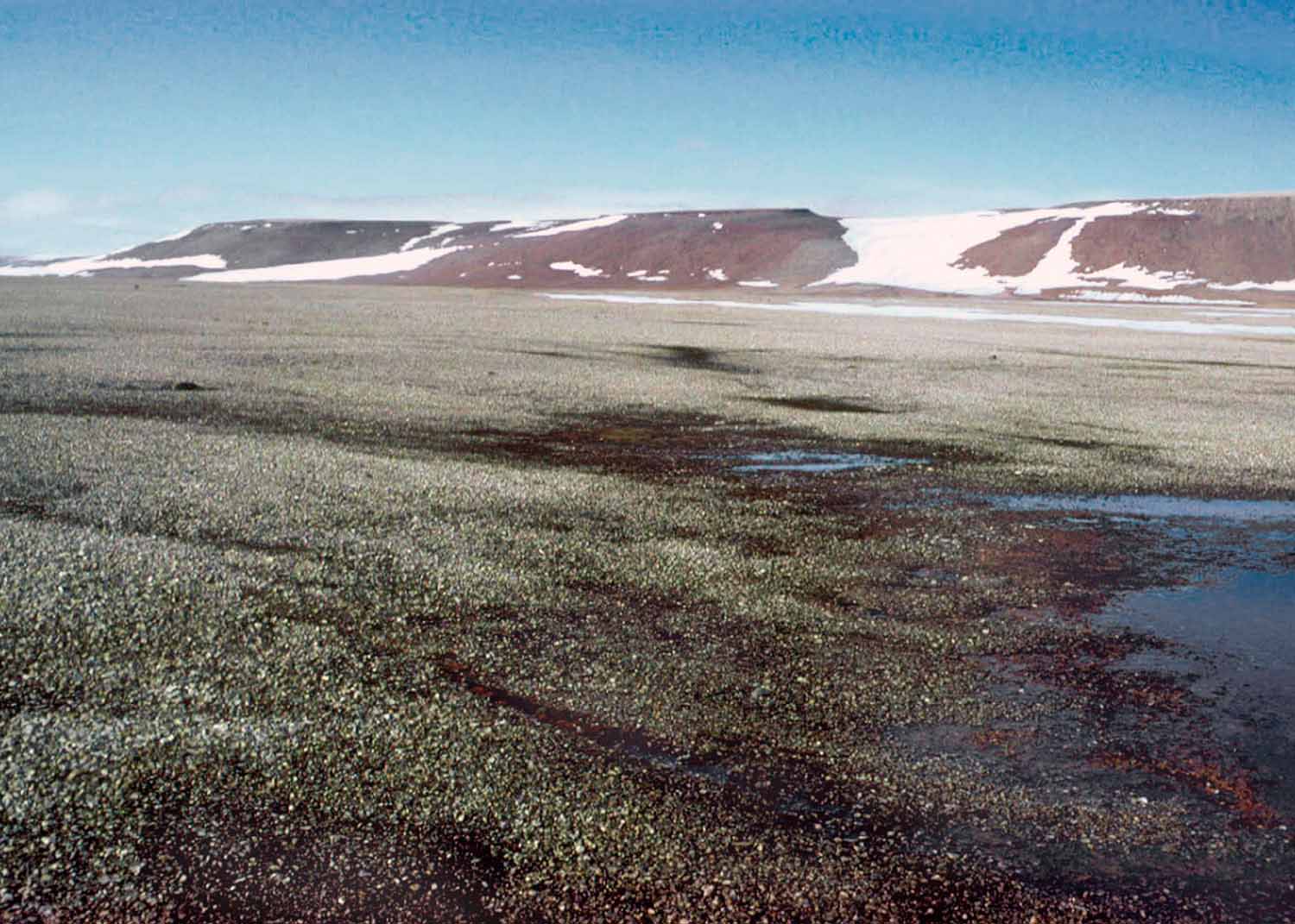 Eskimonaesset, North Greenland, C. Bay.