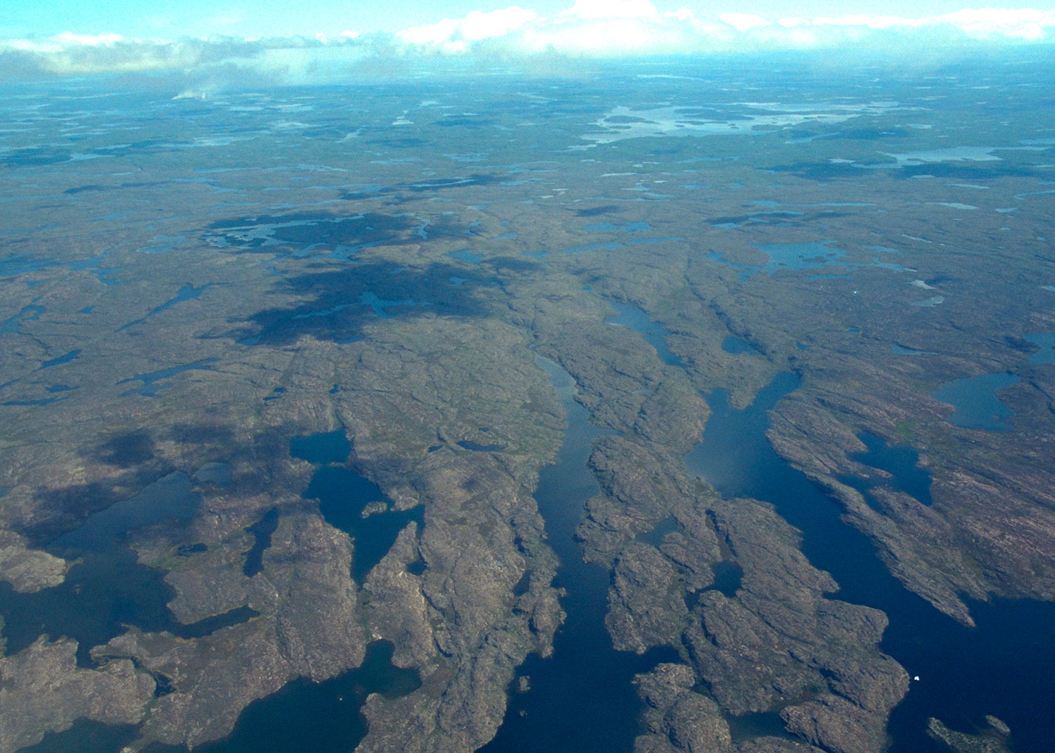 Canadian shield near Daring Lake (Photo: D.A. Walker).