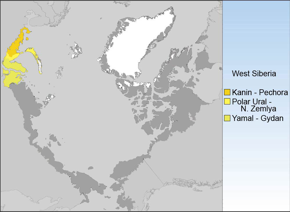 West Siberian group