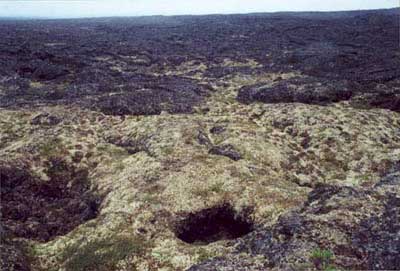 Barren complex on lava. Community No. 74 near Imuruk Lake, Seward Peninsula, Alaska (Photo: D.A. Walker).