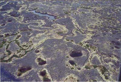 Aerial photo of lava complex near Imuruk Lake, Seward Peninsula, Alaska. (Photo: D.A. Walker).