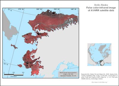 Alaska Arctic AVHRR False-color Infrared Base Map