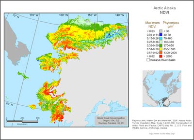 Alaska Arctic NDVI and Phytomass