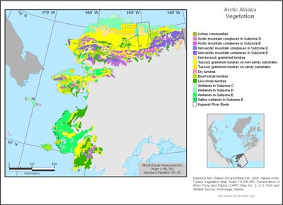 Alaska Arctic Vegetation