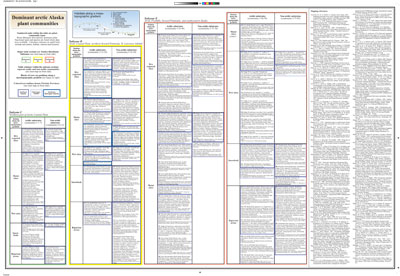 Alaska Arctic Tundra Vegetation Map