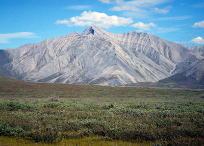 Nonacidic mountain complex, Philip Smith Mountains, Brooks Range, Alaska. (Photo: D.A. Walker).