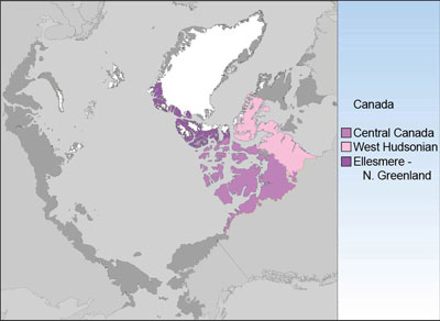 Circumpolar Arctic Floristic Provinces - Canadian Group