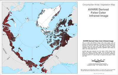 CAVM AVHRR base map cpcir_map300.jpg