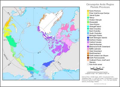 Circumpolar Arctic Floristic Provinces