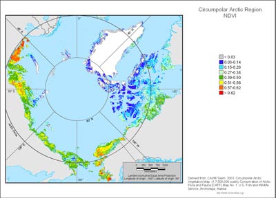 Circumpolar Arctic NDVI and Phytomass