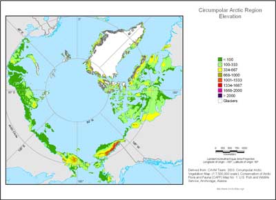 Circumpolar Arctic Elevation