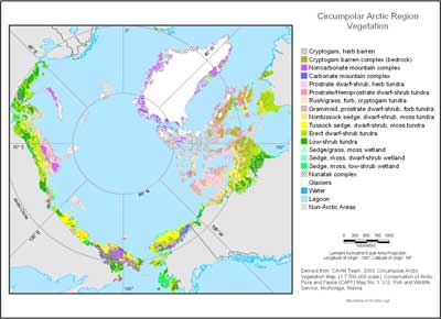 Circumpolar Arctic Vegetation