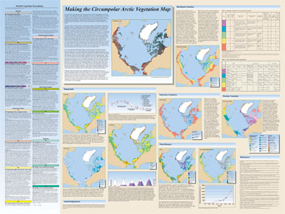 Circumpolar Arctic Vegetation Map