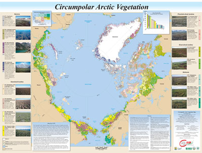 Circumpolar Arctic Vegetation Map