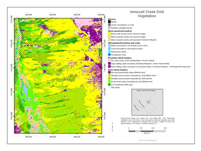 Imnavait Creek Grid Vegetation