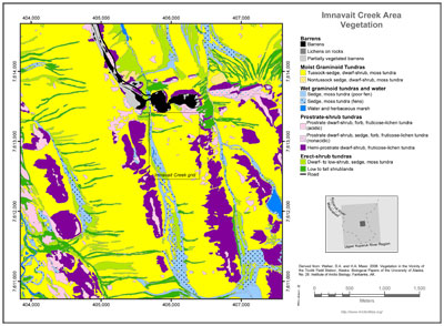 Imnavait Creek Area Vegetation