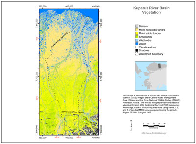 Kuparuk River Basin Vegetation