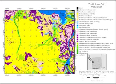 Toolik Lake Grid Vegetation