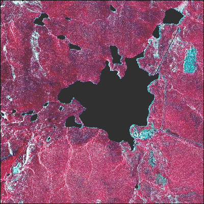 Toolik Lake Area SPOT False-Color Infrared Image