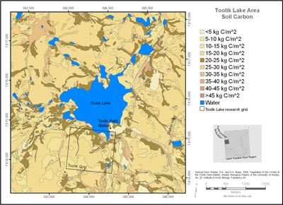 Toolik Lake Area Soil Carbon