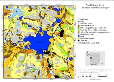 Toolik Lake Area Surficial Geomorphology