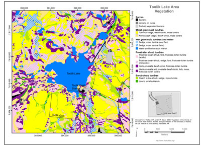 Toolik Lake Area Vegetation