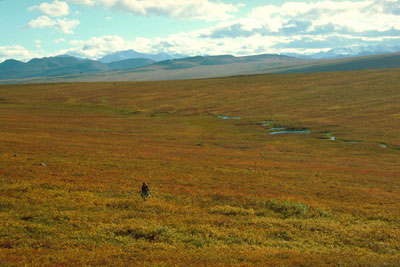 Toolik Lake Area Published map