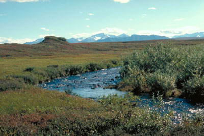 Toolik Lake Area Published map