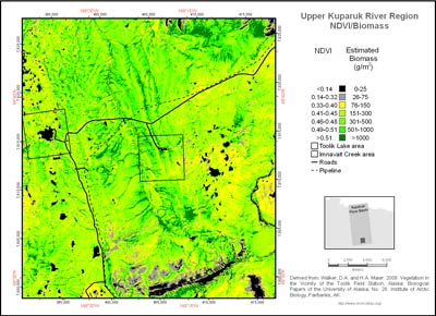 Upper Kuparuk River Region NDVI and Phytomass