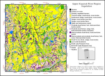 Upper Kuparuk River Region Vegetation