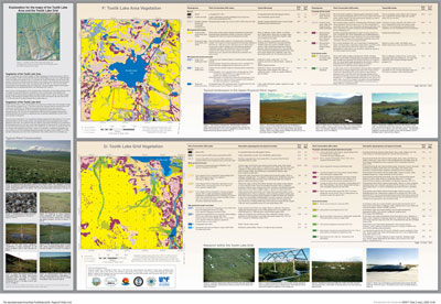 Upper Kuparuk River Region Vegetation in the vicinity of the Toolik Field Station, Alaska