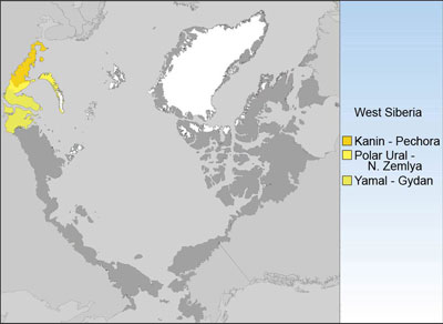 Circumpolar Arctic Floristic Provinces - West Siberian Group