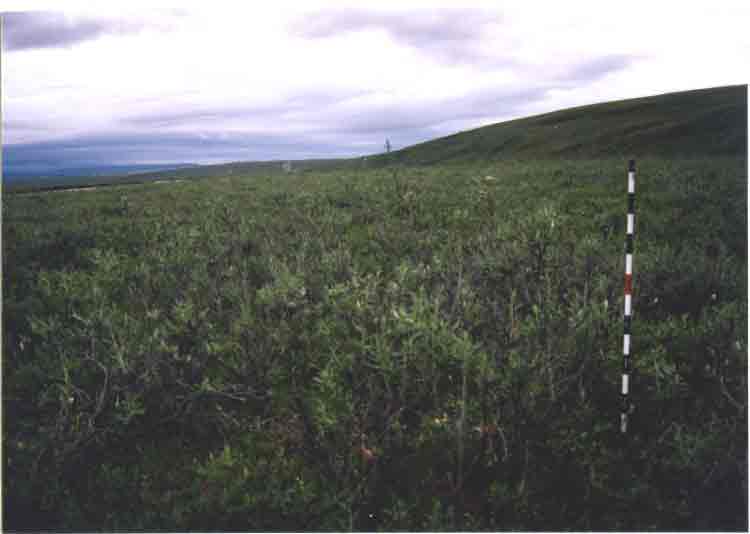 Happy Valley photo