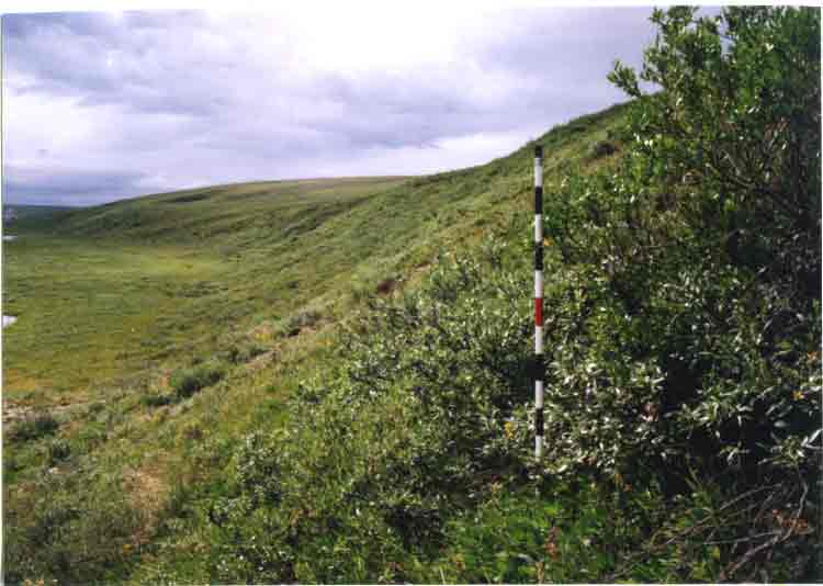 Happy Valley photo