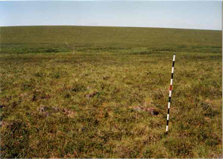 Happy Valley photo