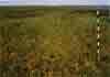 landscape releve photo
