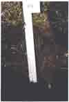 soil profile photo