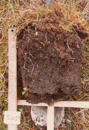 soil photo