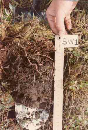 soils photo sw-1a